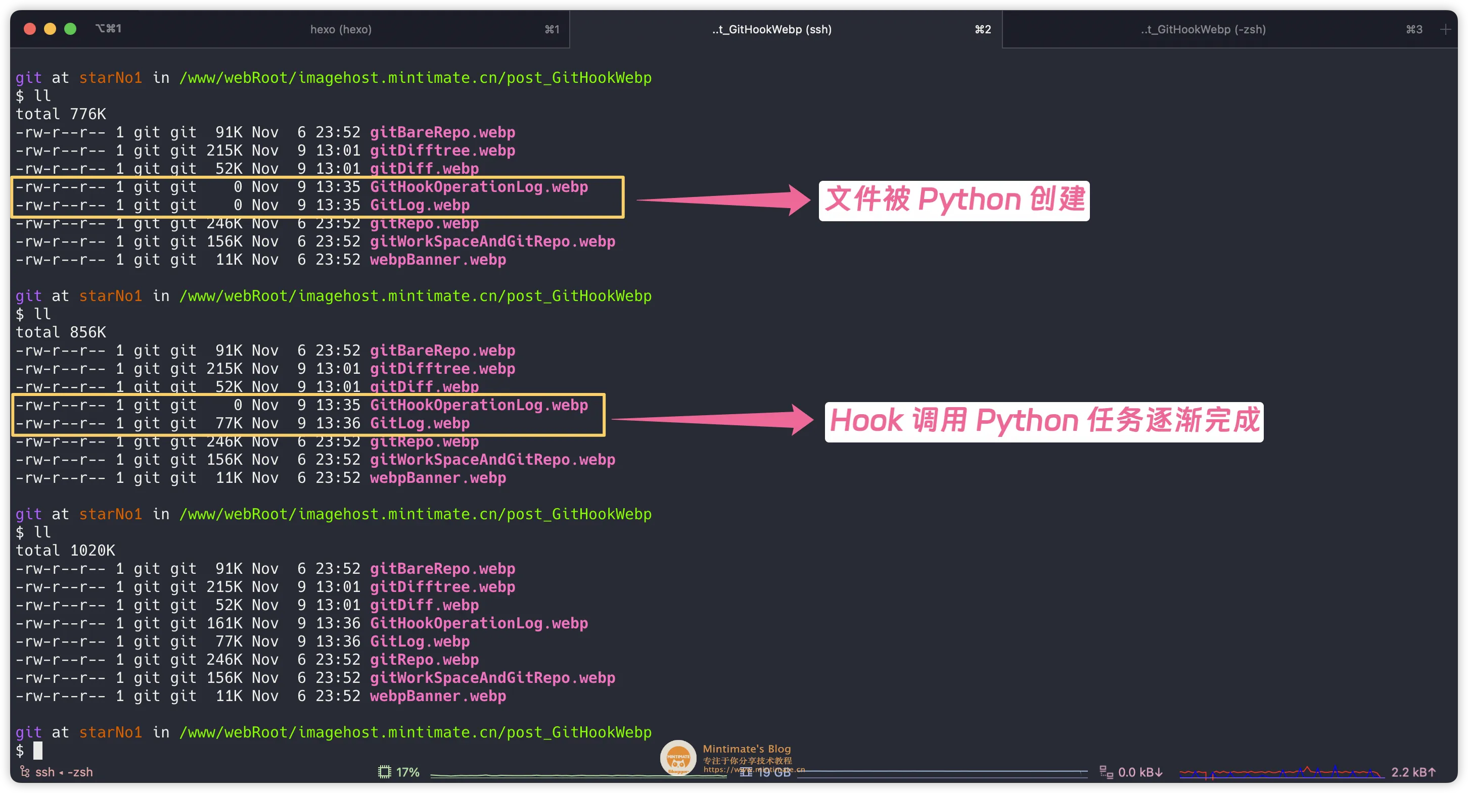 查看 Git Hook 转换后的图片