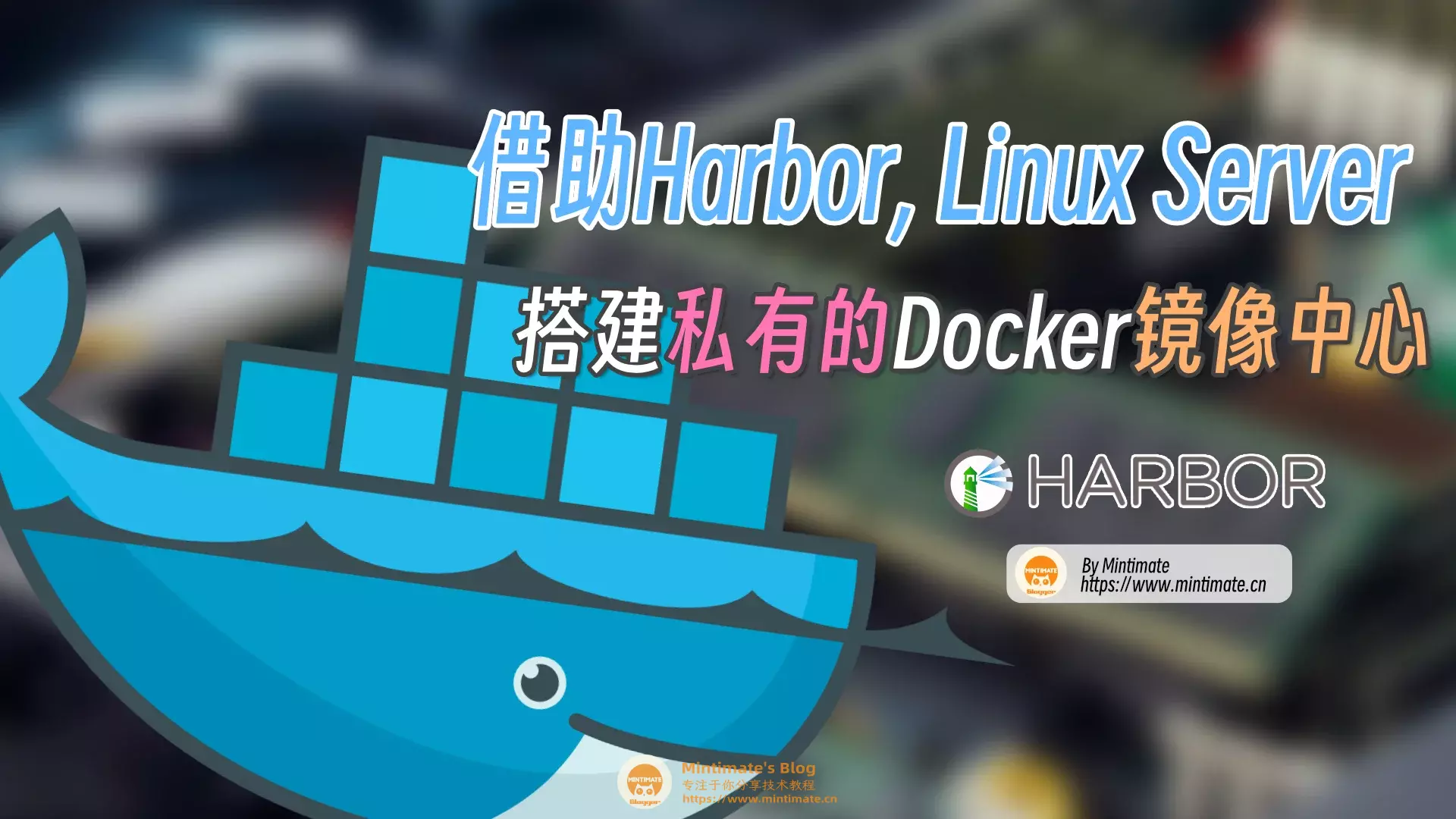 给我一台Linux服务器，借助Harbor搭建私有的Docker镜像中心？