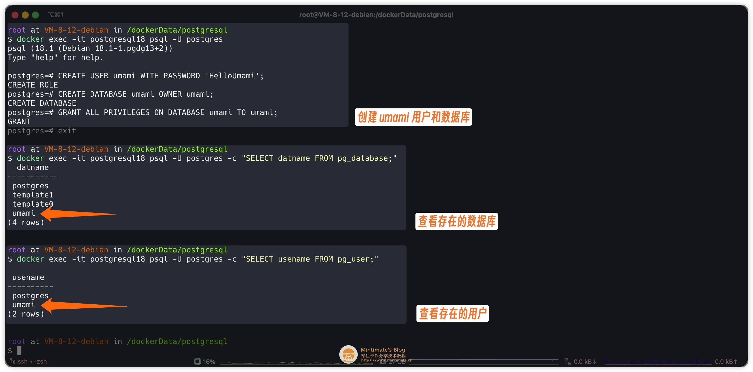 使用命令行创建用户和数据库