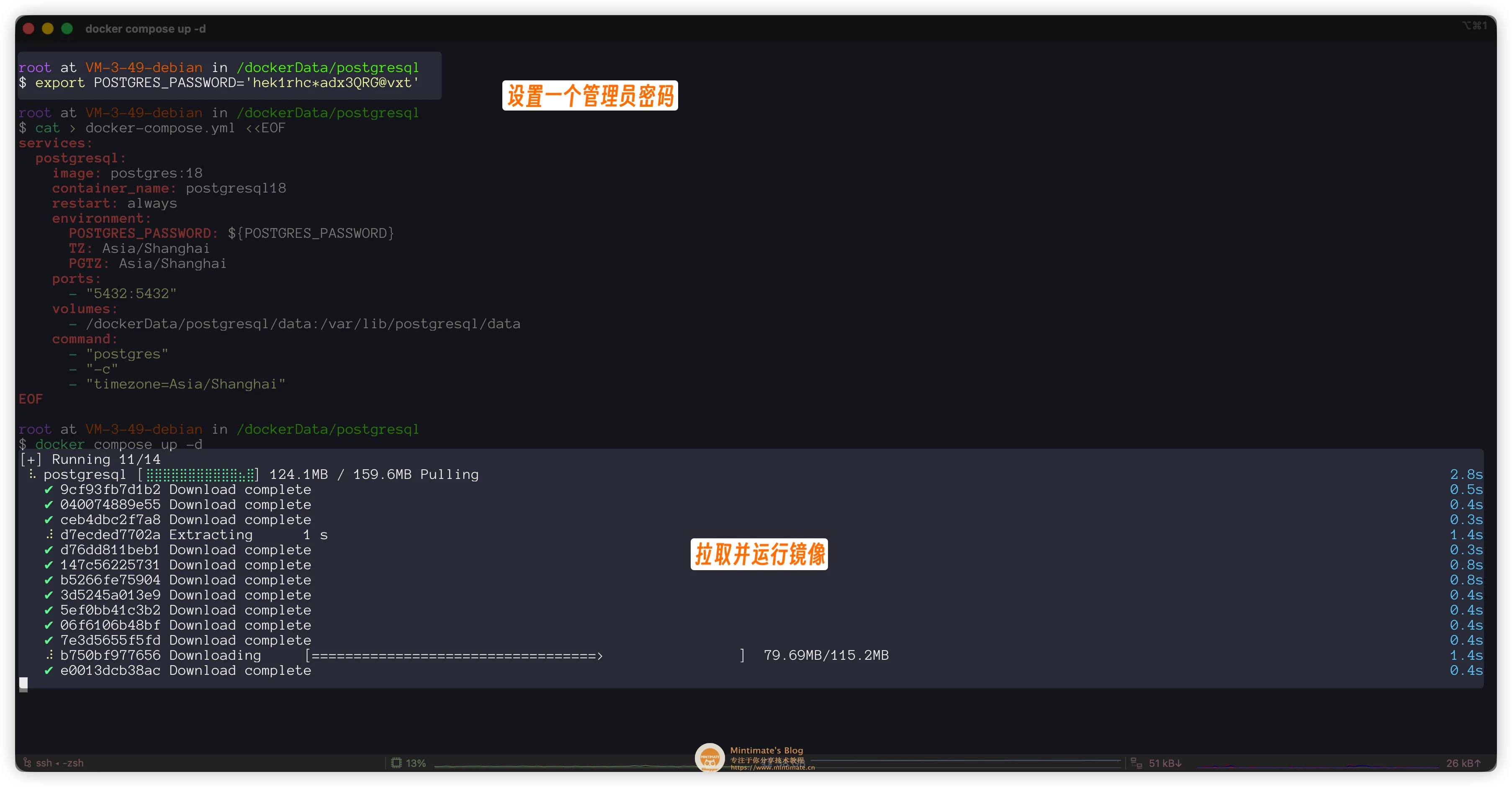 使用 docker compose 安装 PostgreSQL