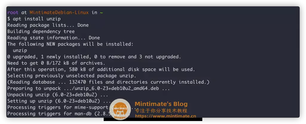Debian安装unzip