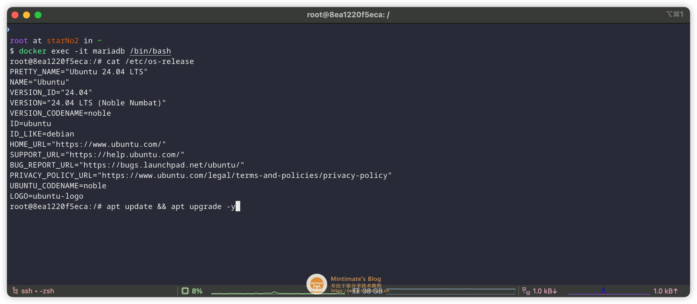MariaDB 数据库 Docker 镜像